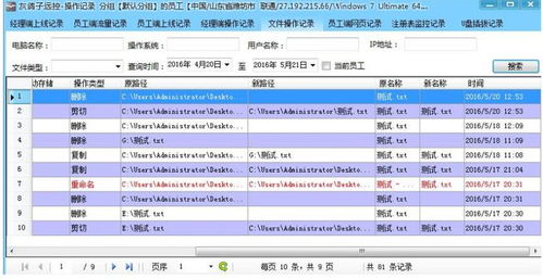 遠程控制軟件對比 灰鴿子與TeamViewer的網絡與信息安全視角